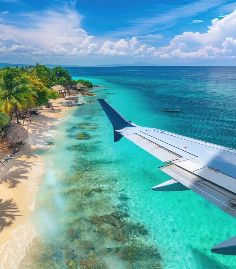 Ala de Avión
