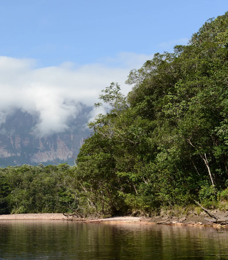 Canaima