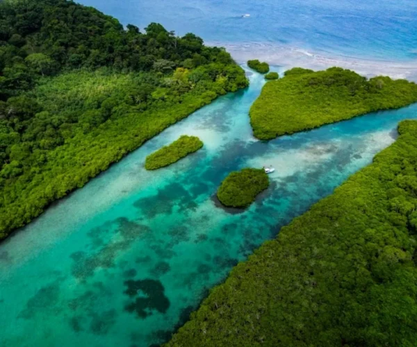 Tour de Playa en Venas Azules con Recogida