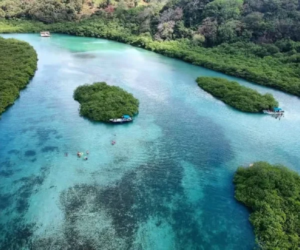 Tour de Playa en Venas Azules con Recogida